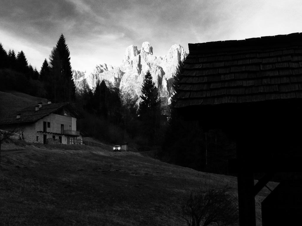 Family Hotel La Perla Fiera Di Primiero Eksteriør bilde